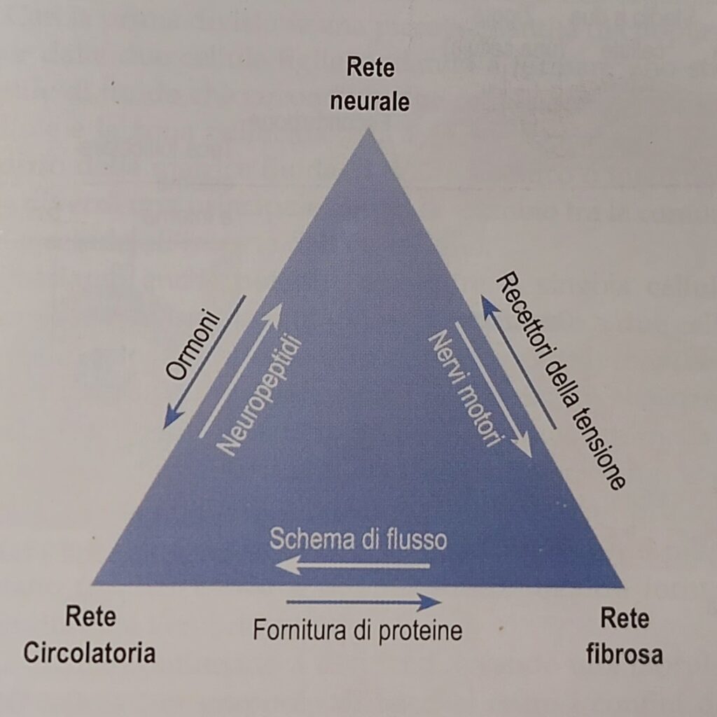 relazione tra le reti